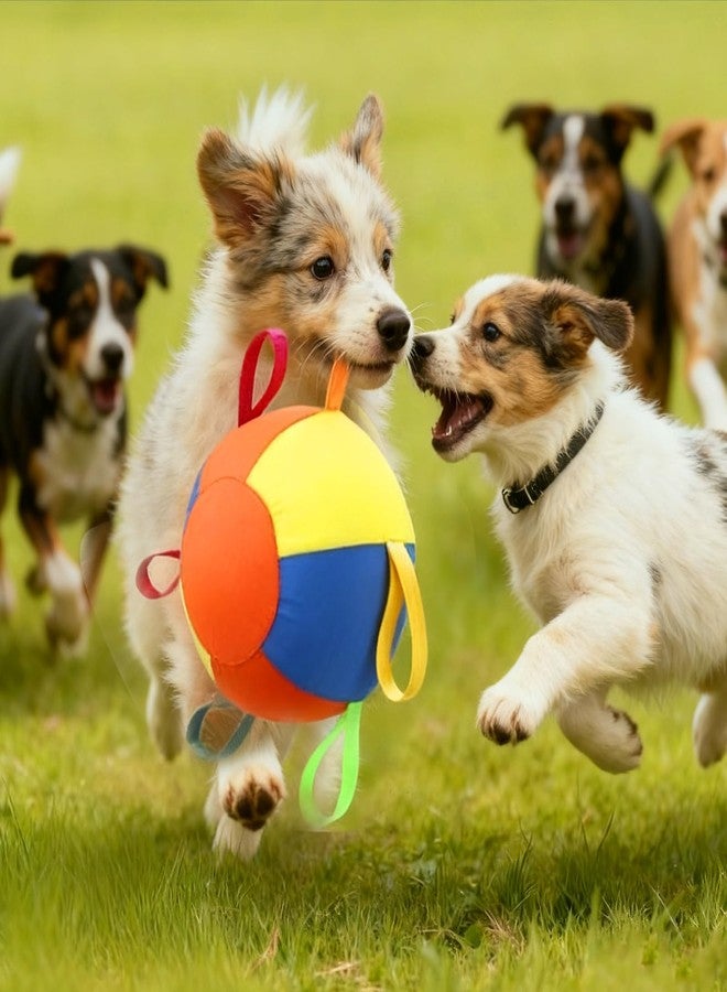 AIERSA Herding Ball for Dogs,9.85 in Tug of War Dog Toy with Handles for Outdoor Play,Dog Soccer Ball Toy&Training Toy Balls for Australian Shepherd,Interactive Toy Balls for Small&Medium Dogs - Image 2