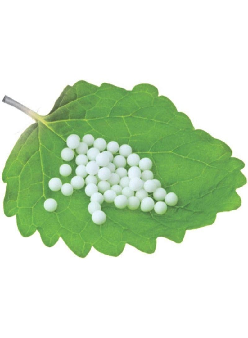 general Leaf N Relief Ayamodaka Sathu Gulika, 75 gm (15 gm x 5 Nos) - Image 5