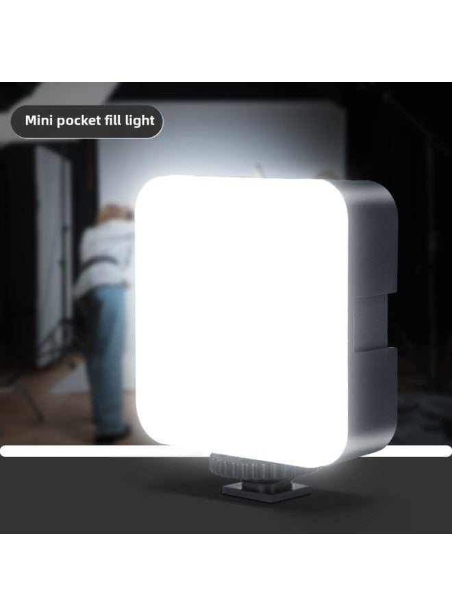 Super Cost-effective Rgb Photography Fill Light Handheld Led Fill Light Stick Outside The Light Indoor And Outdoor Night Scene A Batch-Specification:[white Light Standard Version] Mini Fill Light (battery Not Included)  - Image 1