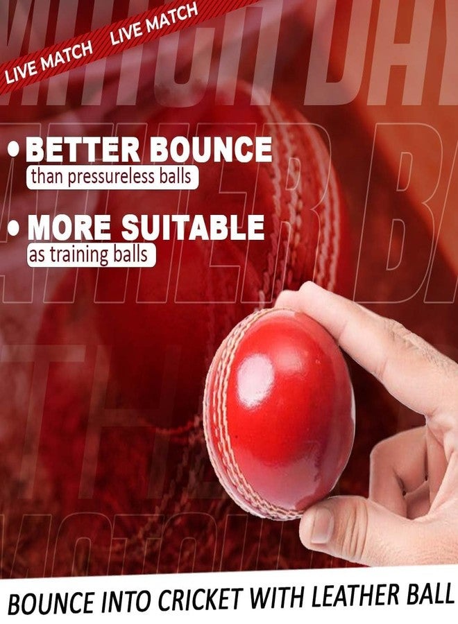 Fully Cricket Balls for Practice Matches | White Cricket Leather Ball (Pack of 1) - Image 5