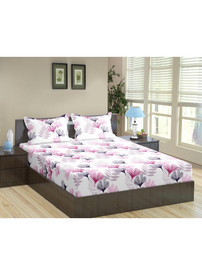 Trance Home Linen 100% Cotton 180 TC 78"X78" Elastic Fitted Bedsheet Super King Bed Size | Printed Fitted Sheet | Elasticated Fitted Bedspread With 2 Pillow Covers (78X78 Inch, Paradise Pink)