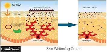 MAKKI BODY WHITENING LIGHTENING CREAM BODY SKIN LIGHTENER WHITENER BRIGHTER ETHNIC - Image 4