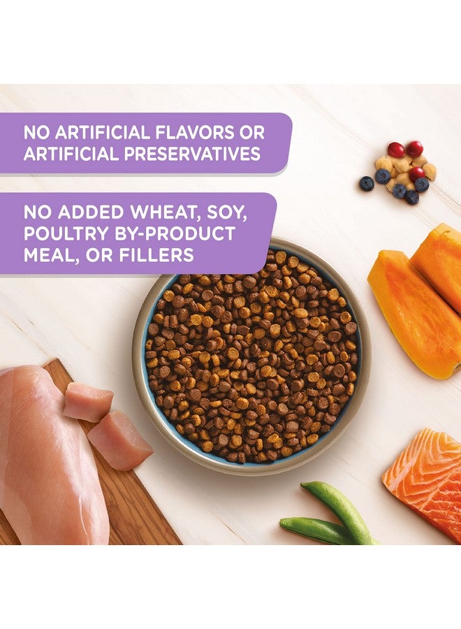 راتشل راي طعام القطط الطبيعي الجاف Nutrish Longevity Premium مع إضافة الفيتامينات والمعادن والعناصر الغذائية الأخرى، وصفة الدجاج مع الحمص والسلمون، 3 أرطال - Image 4