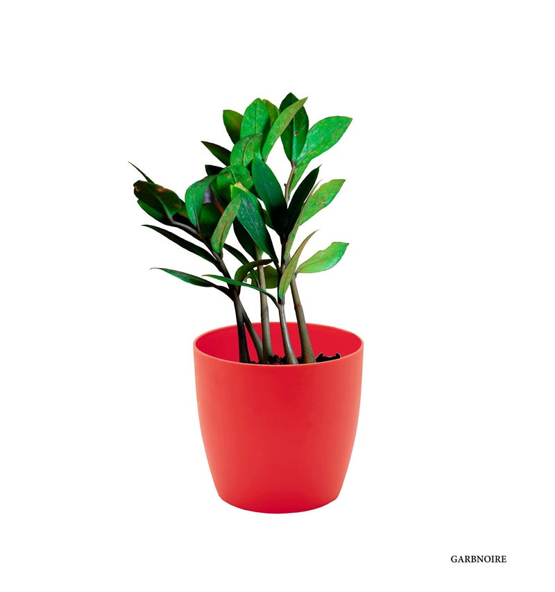 garbnoire Gardening Flower Pots - 4.4 Inch Plastic Flower Pots | Modern Decorative Indoor Outdoor Planters/Pots - Pack of (Pastel Pink, 5) - Image 2