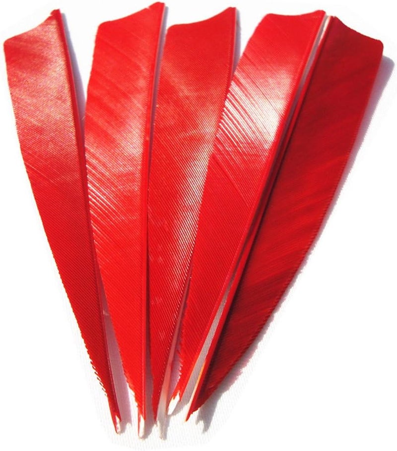 Letszhu Archery Arrows Feather Fletching 4 Inch Real Turkey Vanes for Hunting Target Shooting (25 Pack) - Image 2