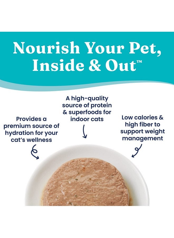 Solid Gold Wet Cat Food Pate - Canned Cat Food Made w/Real Chicken for Indoor Cats of All Ages - Flavorful Feast Grain Free Cat Wet Food for Sensitive Stomach & Healthy Living - 24ct/3oz Can - Image 3