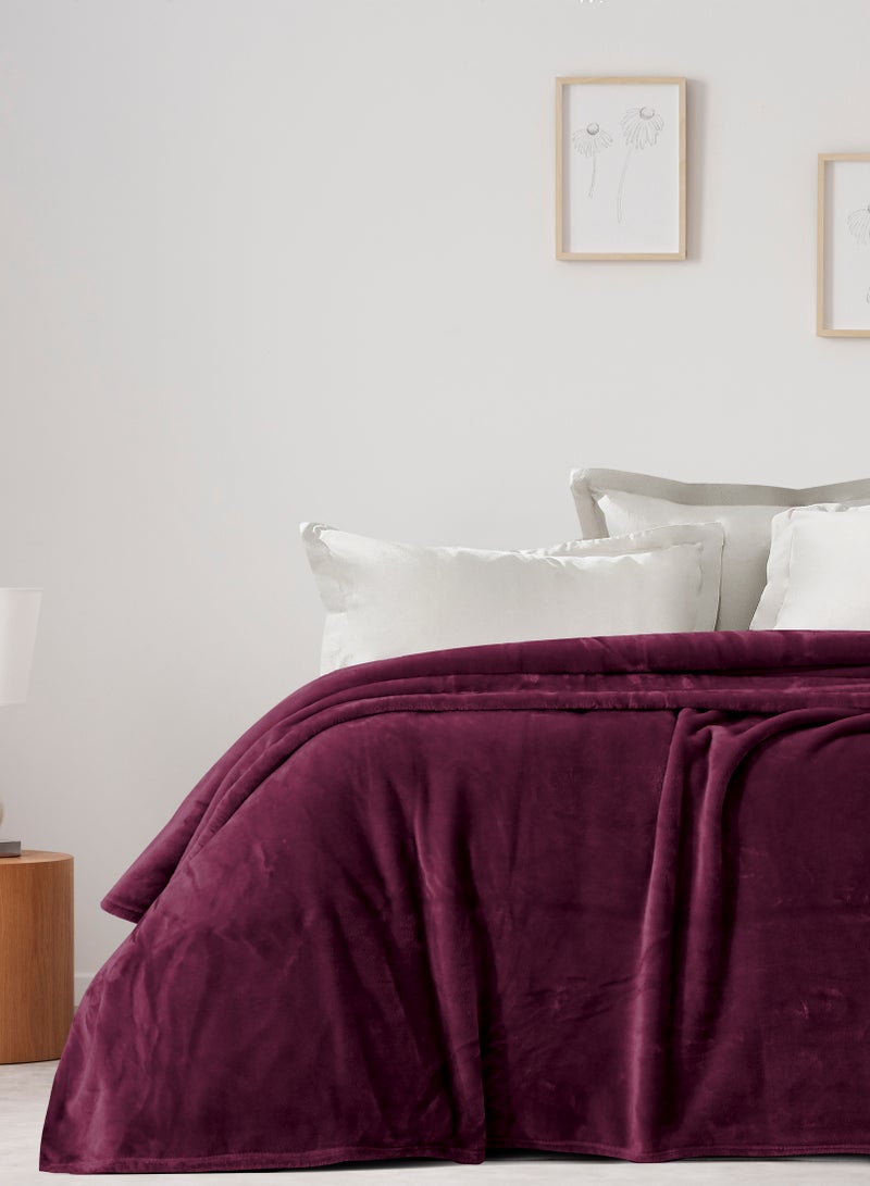 Morano Viva Blanket – Dyed Model, 220x240 CM, Lightweight Ultra-Soft Polyester Throw with Elegant Finish, Stylish Colors,Warm and Cozy Blanket for Bed or Sofa - Image 1