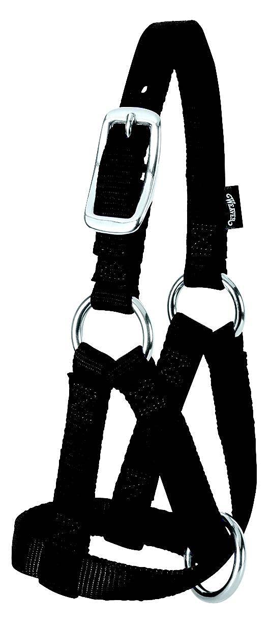 Weaver Leather Livestock Goat Halter, Black, 3/4-Inch - Image 4