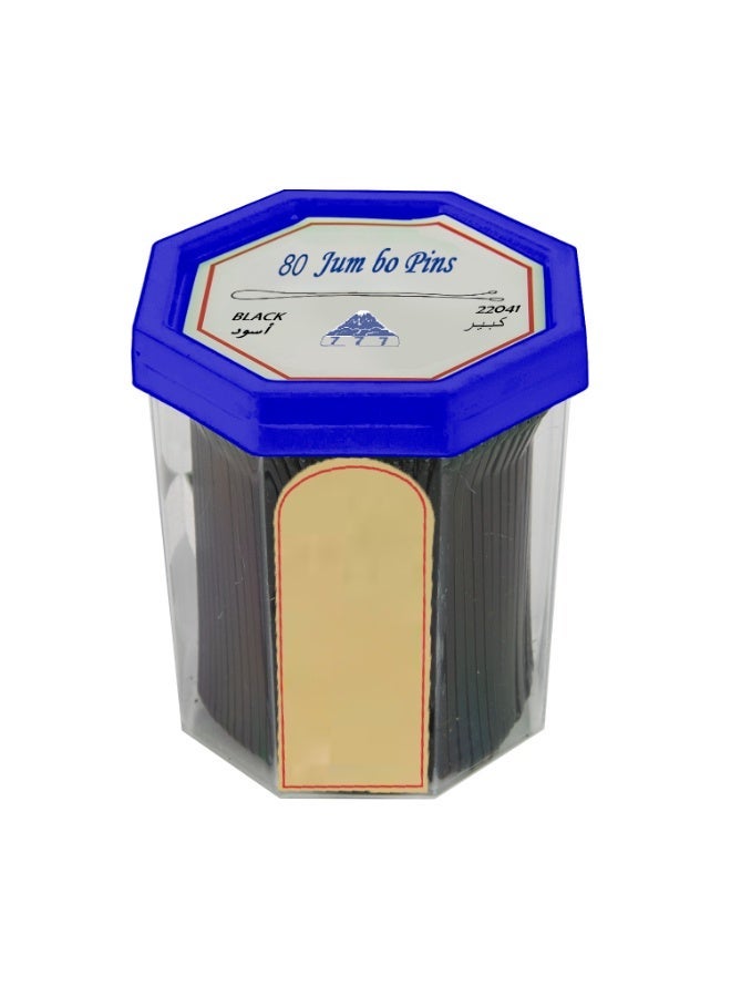 بنس شعر كبير 80 قطعة - Image 1