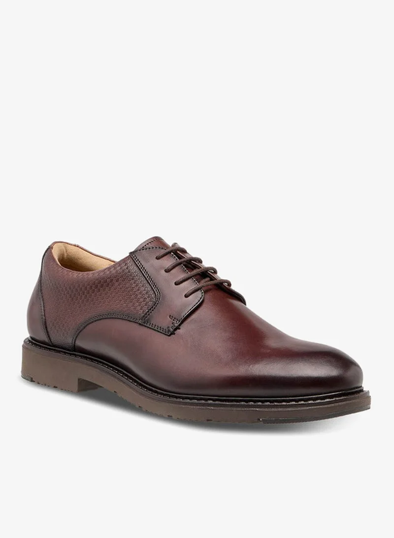 DUCHINI Brown Men Lace-Up Leather Derby Shoes for Men | Best Price UAE