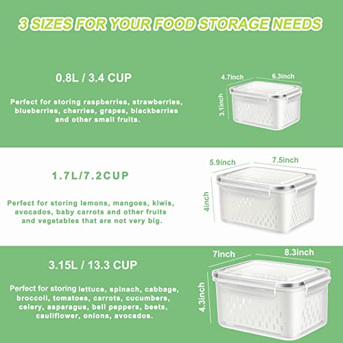 TBMAXS 3 Pack Fruit Storage Containers for Fridge, Produce Saver Vegetable Container with Drain Colanders - Refrigerator Organizer for Lettuce Berry Keepers - Image 5