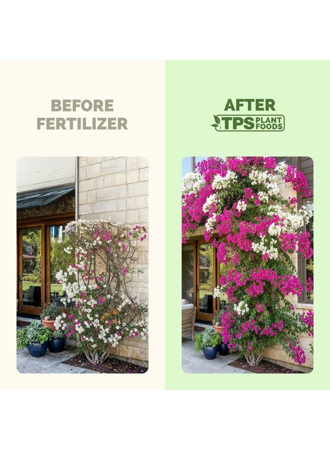TPS NUTRIENTS Bougainvillea Fertilizer, Complete Liquid Bougainvillea Plant Food, 8 oz (250mL) - Image 3