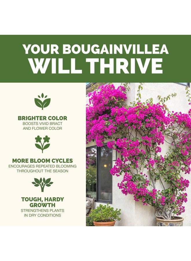 TPS NUTRIENTS Bougainvillea Fertilizer, Complete Liquid Bougainvillea Plant Food, 8 oz (250mL) - Image 2