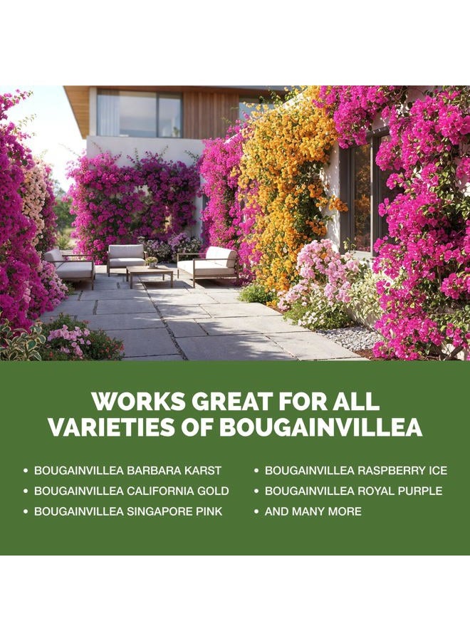 TPS NUTRIENTS Bougainvillea Fertilizer, Complete Liquid Bougainvillea Plant Food, 8 oz (250mL) - Image 5