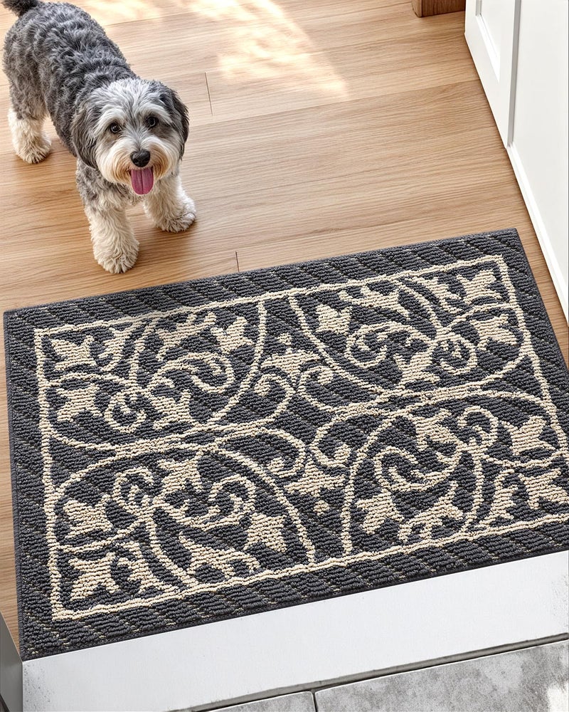 DEXI Front Door Mat Entryway Inside Welcome Entrance Doormat Low Profile Thin Non Slip Washable Entry Mats for House Floor Dirt Trapper 24x36 Dark Gray