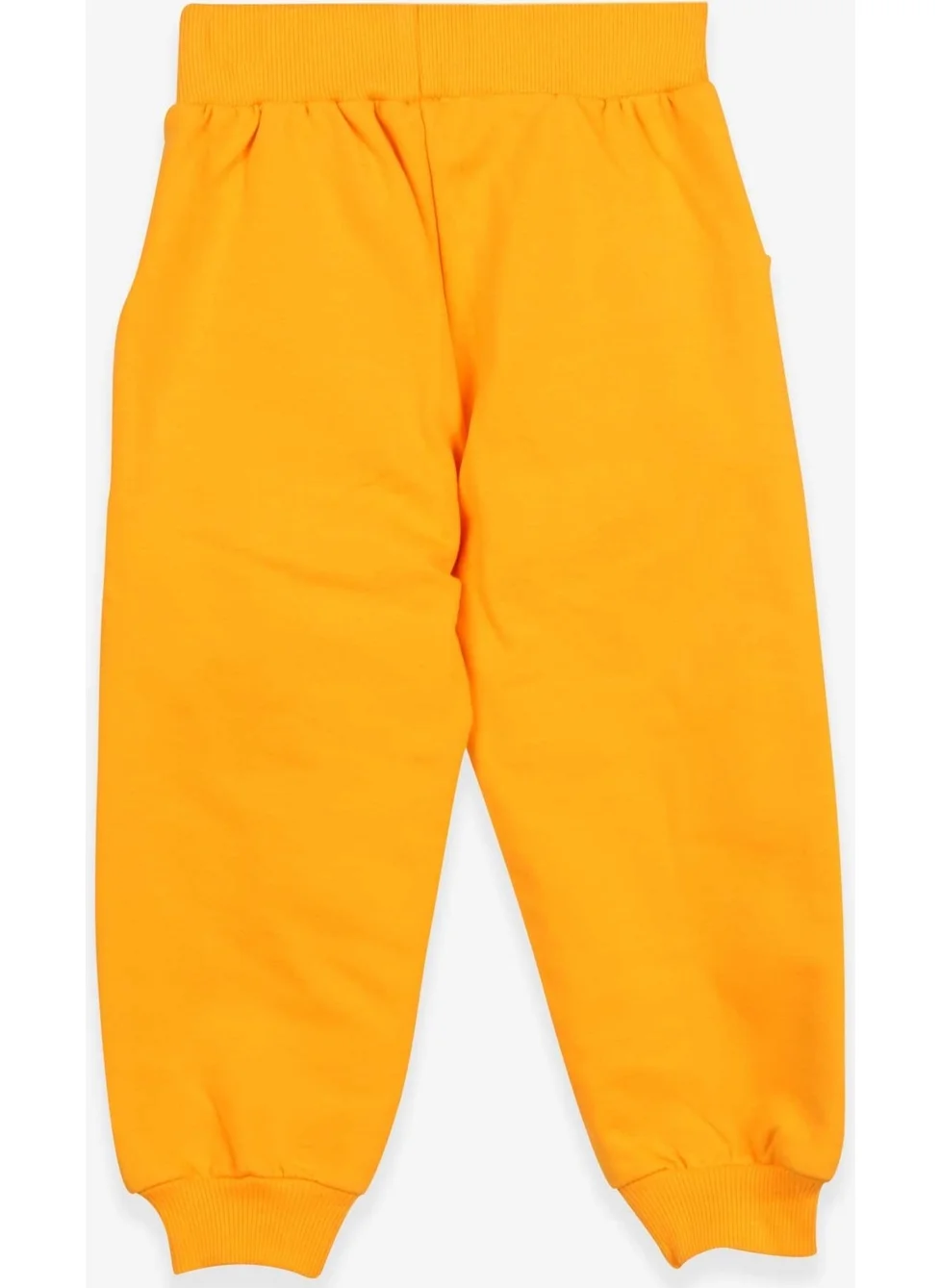 Breeze Boy's Sweatpants Yellow with Knee Embroidery (1.5-5 Years)