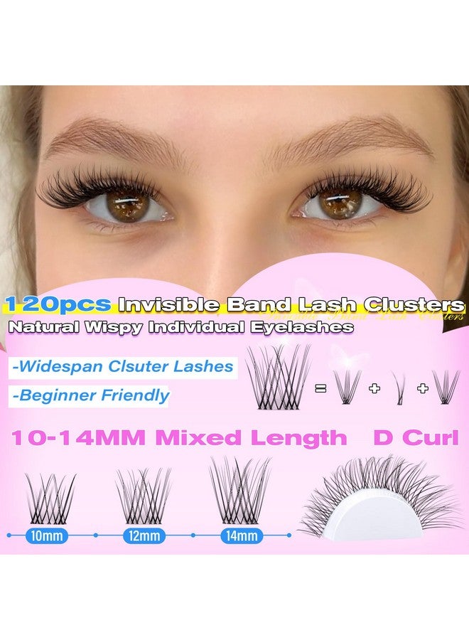 wiwoseo Natural Lash Clusters Wispy Eyelash Clusters Natural Cluster Eyelash Extensions Pestañas Postizas Naturales Venas Lash Clusters Thin Invisible Band Lashes Clusters for Beginners (10-14MM) - Image 3
