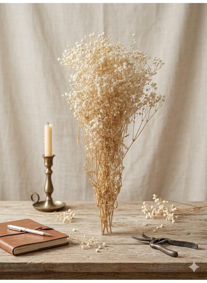 Luxury Beige Baby's Breath Flowers for Décor – Natural-Looking Mini Flower Bouquet for Vases, Home Decoration, and Weddings - Image 3