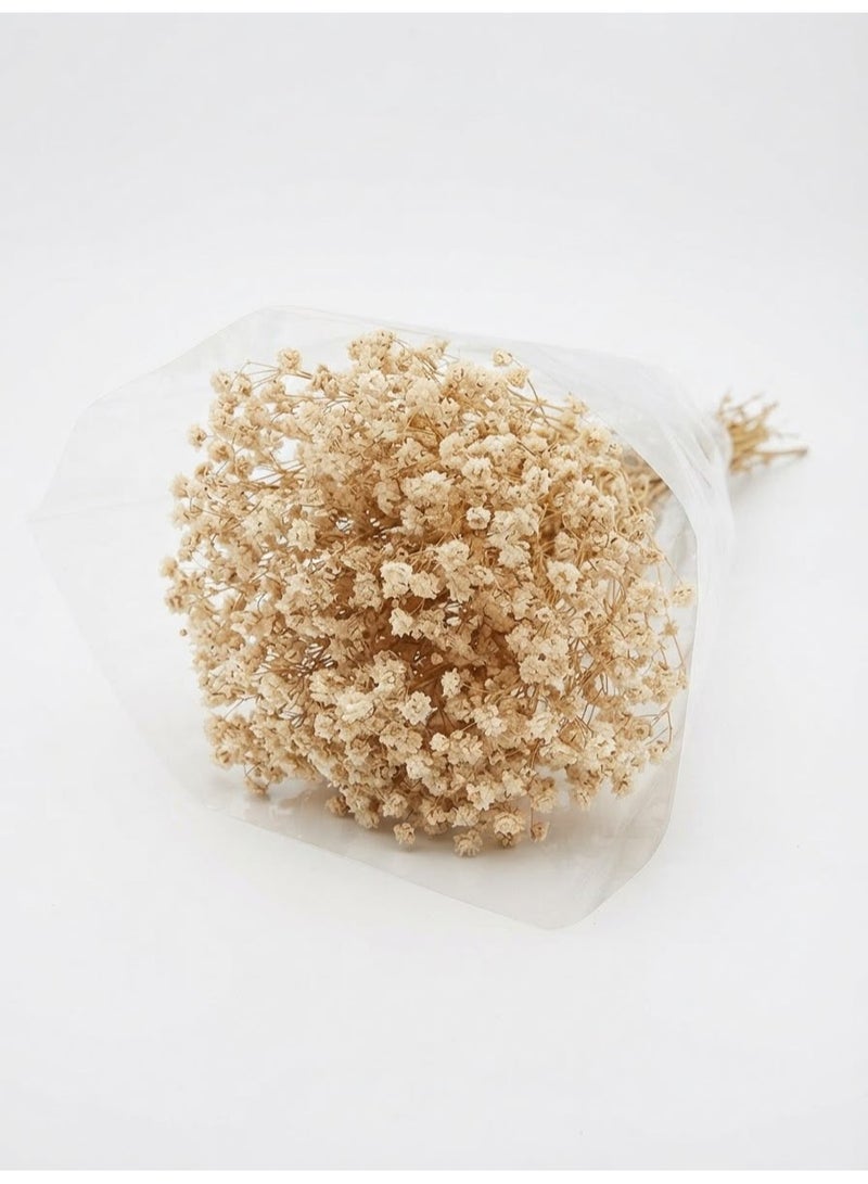 Luxury Beige Baby's Breath Flowers for Décor – Natural-Looking Mini Flower Bouquet for Vases, Home Decoration, and Weddings - Image 1