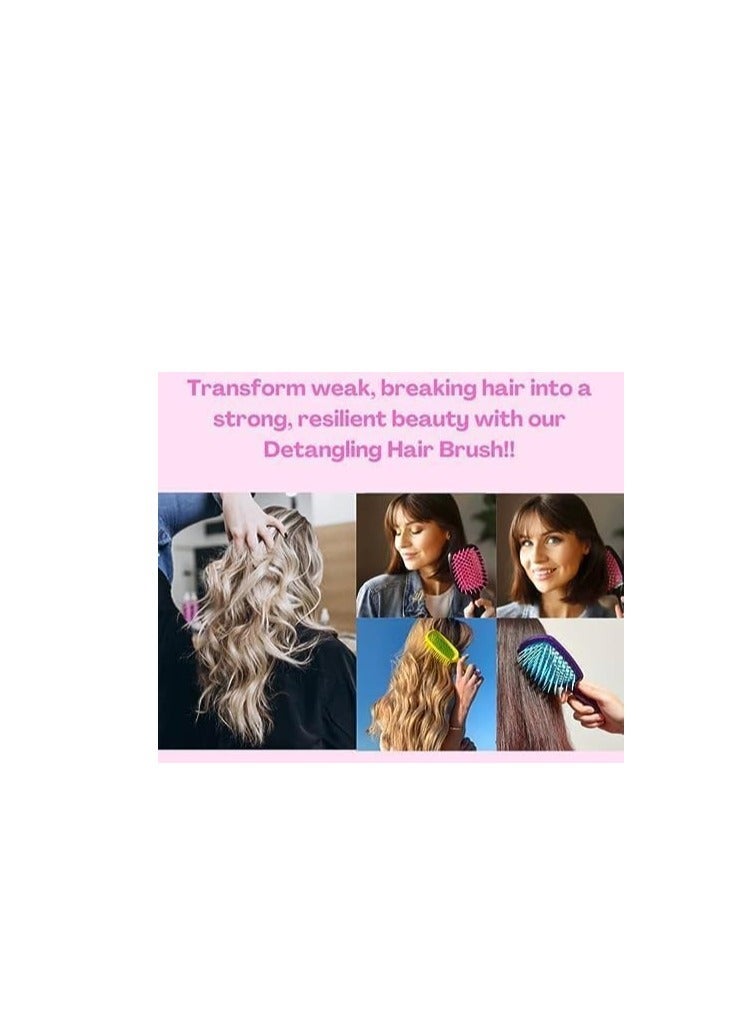 Y&D Hair Brush Detangling Brush, New for Curly Hair, Easily Removes Tangles, Wet Dry 3 Pack - Image 5