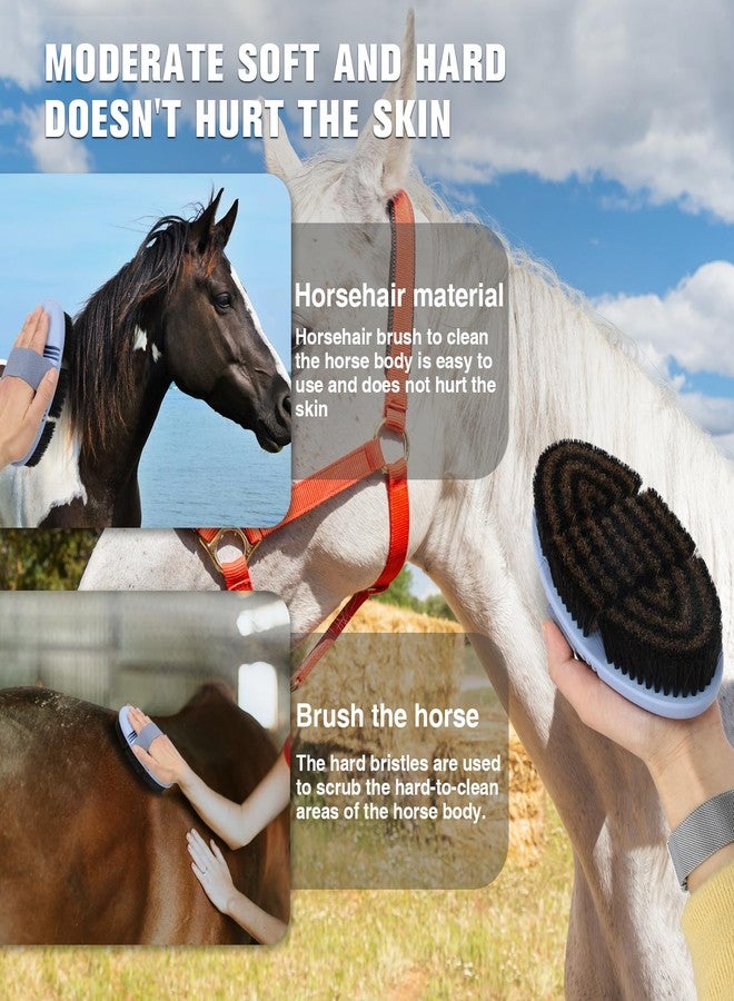 Histotree Horsehair Horse Brush for Grooming Flexible Horse Finishing Brush Professional Horse Cleaning Tool for Horse Short-Haired Cats&Dogs Gentle Effective Bath Massage Remove Dirt - Image 4