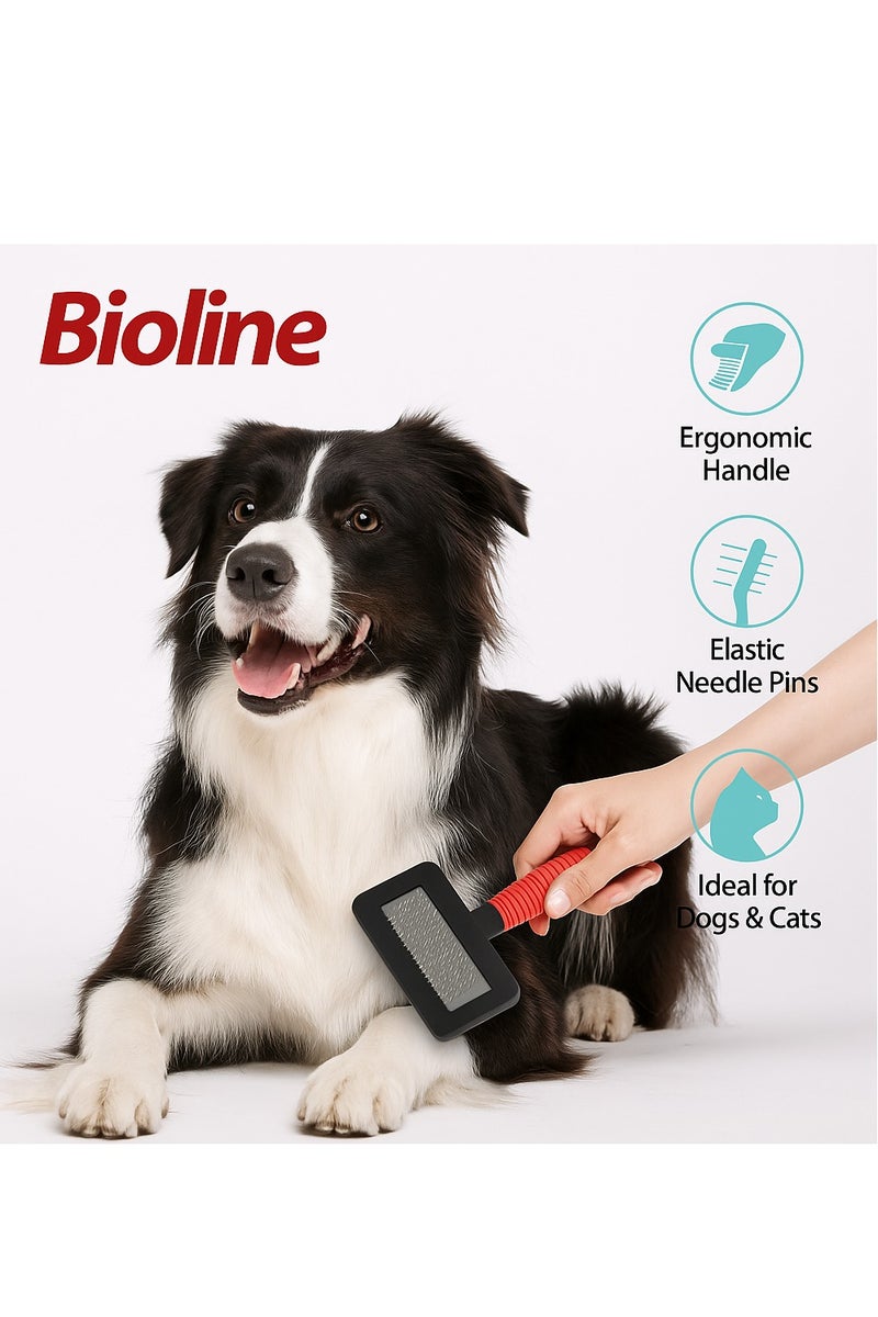 Bioline Pet Comb – Size S | Small Pet Grooming Brush for Cats, Kittens & Puppies, Gentle Stainless Steel Pins - Image 2