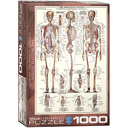 EuroGraphics Skeletal System (Chart) Puzzle (1000-Piece) (6000-3970) , Brown - Image 1