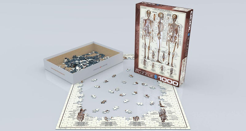 EuroGraphics Skeletal System (Chart) Puzzle (1000-Piece) (6000-3970) , Brown - Image 3