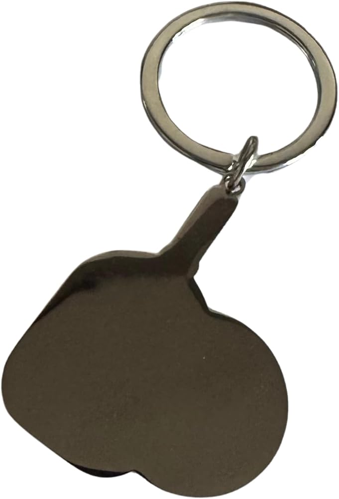 FKC 45 Lbs Weightlifting Plate Keychain with Small Kettlebell and Train Beyond Pain tag, Silver, S - Image 2