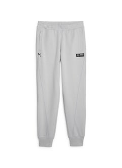 Mercedes-AMG PETRONAS Motorsport Mens Grey Sweatpants - pzsku/Z795D29D73155FCBEC53BZ/45/_/1738918502/0ecded90-88dc-4a07-9a32-4feb2f9b5c42