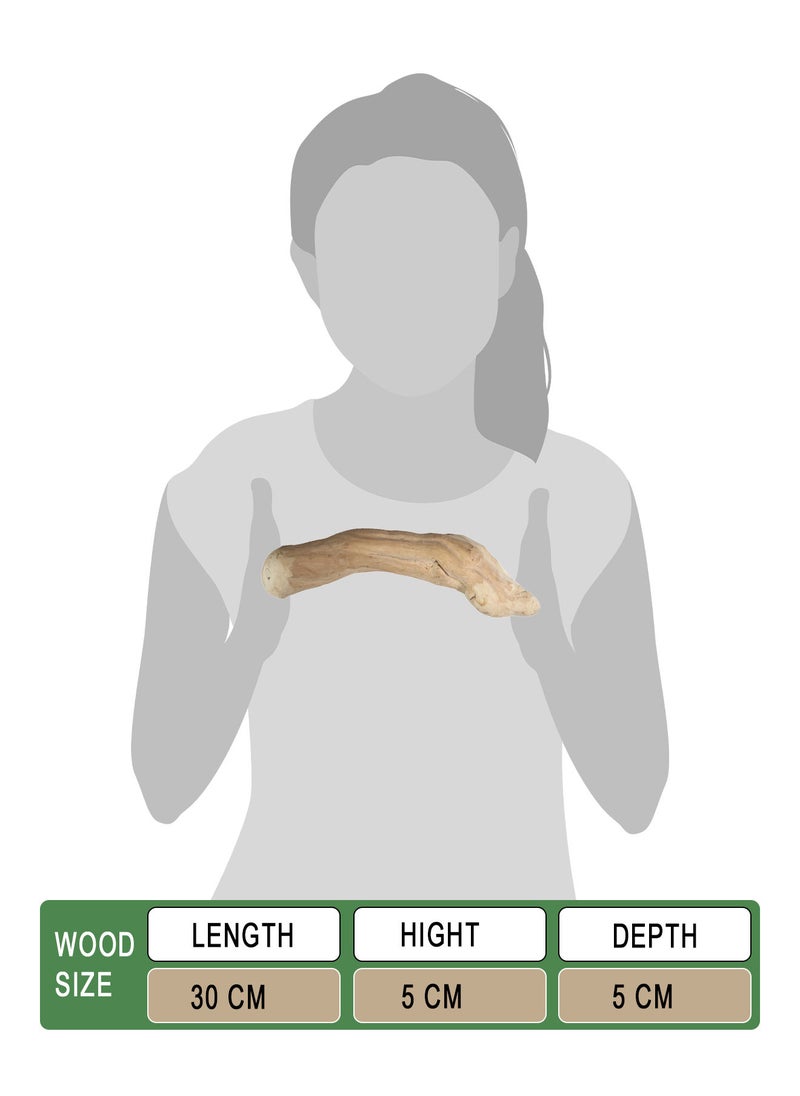 CHEWY BONE Large Dog Chew Wooden Stick Organic Indonesian Java wood for aggressive chewers For teething and Interactive play  - Image 2
