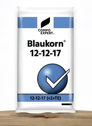 knstliche monstera gro Monstera deliciosa XXL | Online kaufen