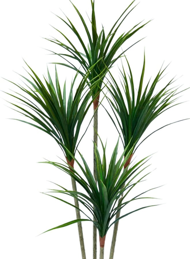 درامــــــا هوم  شجرة صناعية دراسينا مارجيناتا بطول 120 سم – ديكور فاخر للمنزل والمكتب بجودة عالية تحاكي الطبيعة - Image 5