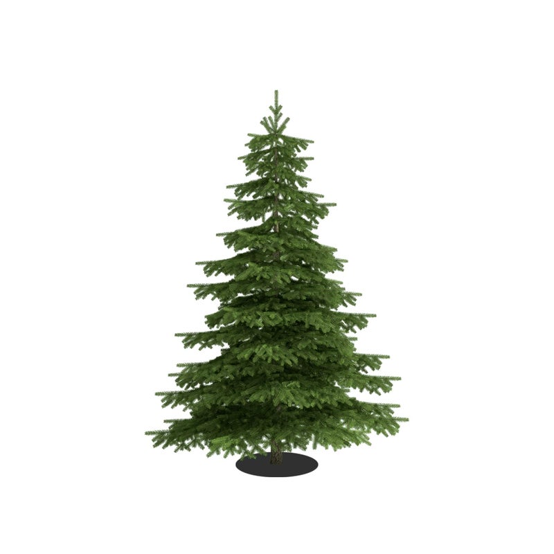 iinfinize Christmas Accessories for Kids Christmas Tree Decoartive Items Xmas Tree 12 Inch Shocks Cap Goggle Hairband Muffler 12 Pcs Tree Decoartive Item - Image 4
