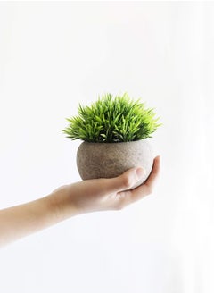 Haidue Mini Artificial Plants Set 2 Pcs Small Fake Plants for Office Kitchen Bathroom Bedroom Mantle Shelf Living Room Faux Plants in Pots Modern Farmhouse Plants Home Decor  - Image 2