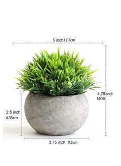Haidue Mini Artificial Plants Set 2 Pcs Small Fake Plants for Office Kitchen Bathroom Bedroom Mantle Shelf Living Room Faux Plants in Pots Modern Farmhouse Plants Home Decor  - Image 3