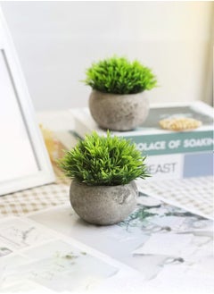 Haidue Mini Artificial Plants Set 2 Pcs Small Fake Plants for Office Kitchen Bathroom Bedroom Mantle Shelf Living Room Faux Plants in Pots Modern Farmhouse Plants Home Decor  - Image 4