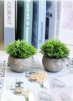 Haidue Mini Artificial Plants Set 2 Pcs Small Fake Plants for Office Kitchen Bathroom Bedroom Mantle Shelf Living Room Faux Plants in Pots Modern Farmhouse Plants Home Decor  - Image 5
