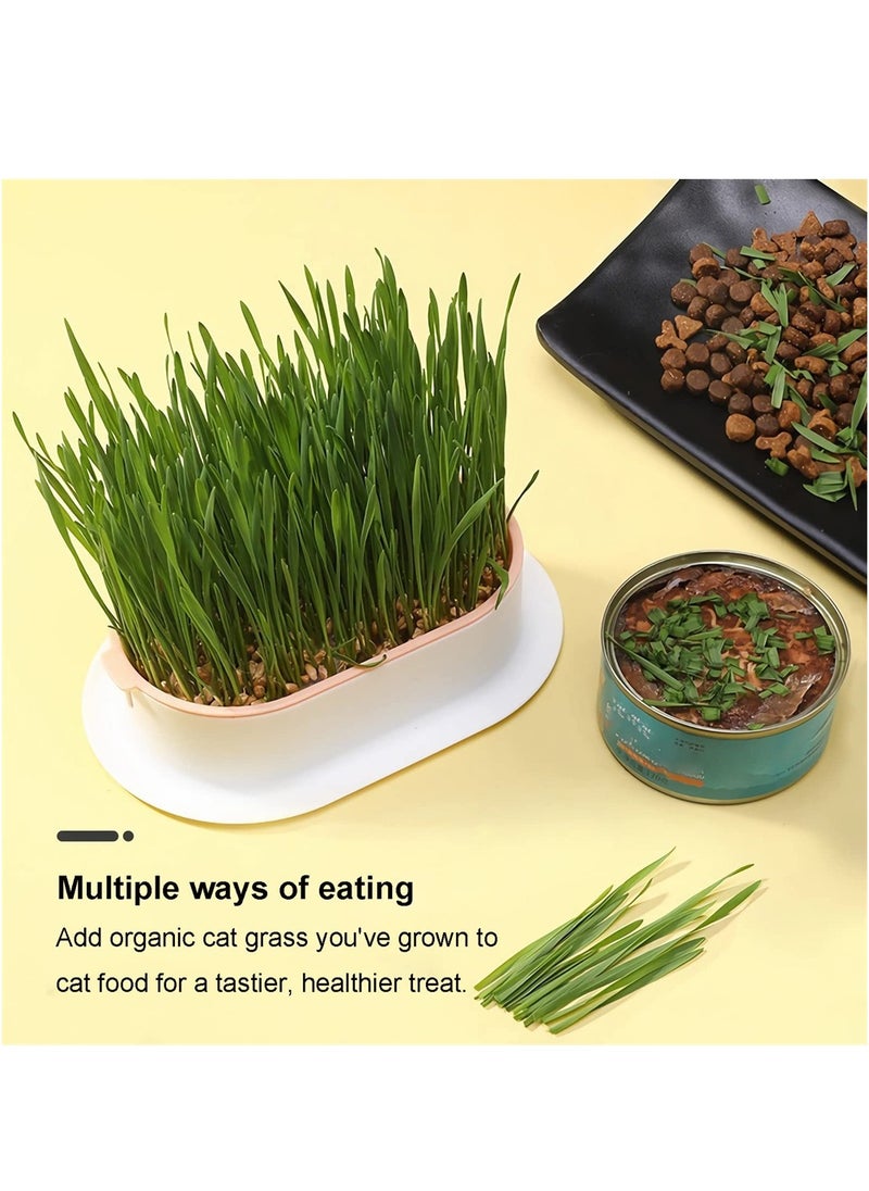 SYOSI - Cat Grass Planter, Catnip Wheatgrass Seed Sprout Tray, Hydroponic Cat Grass, Cat Grass Growing Kit, Self Watering Pots Window Box for Pets, Nursery Plant Planting Box for Indoor, Soilless - Image 1