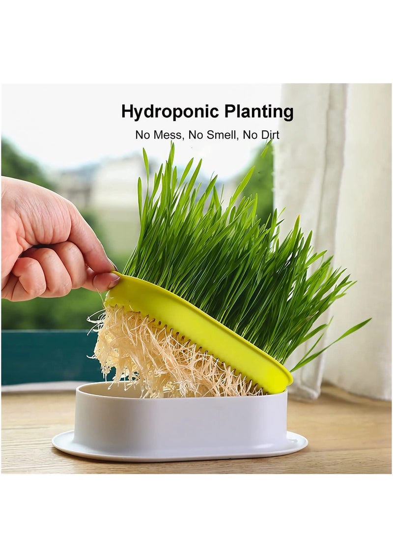 SYOSI - Cat Grass Planter, Catnip Wheatgrass Seed Sprout Tray, Hydroponic Cat Grass, Cat Grass Growing Kit, Self Watering Pots Window Box for Pets, Nursery Plant Planting Box for Indoor, Soilless - Image 1