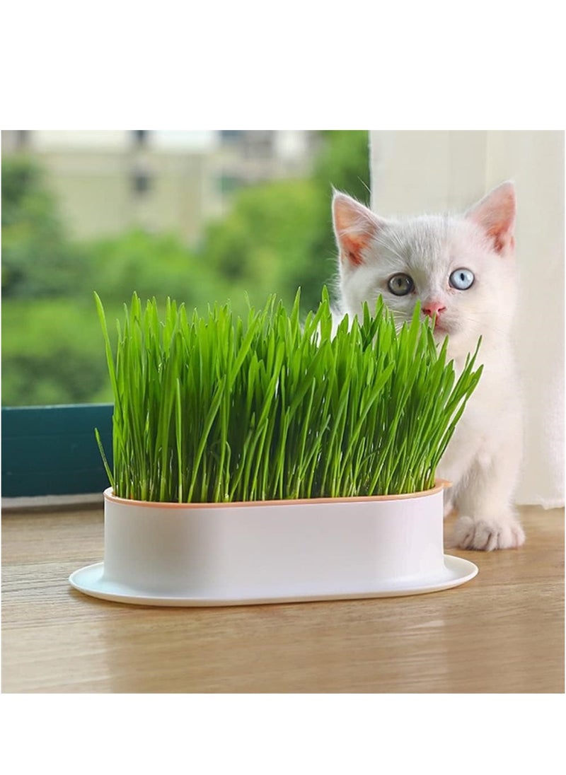SYOSI - Cat Grass Planter, Catnip Wheatgrass Seed Sprout Tray, Hydroponic Cat Grass, Cat Grass Growing Kit, Self Watering Pots Window Box for Pets, Nursery Plant Planting Box for Indoor, Soilless - Image 1
