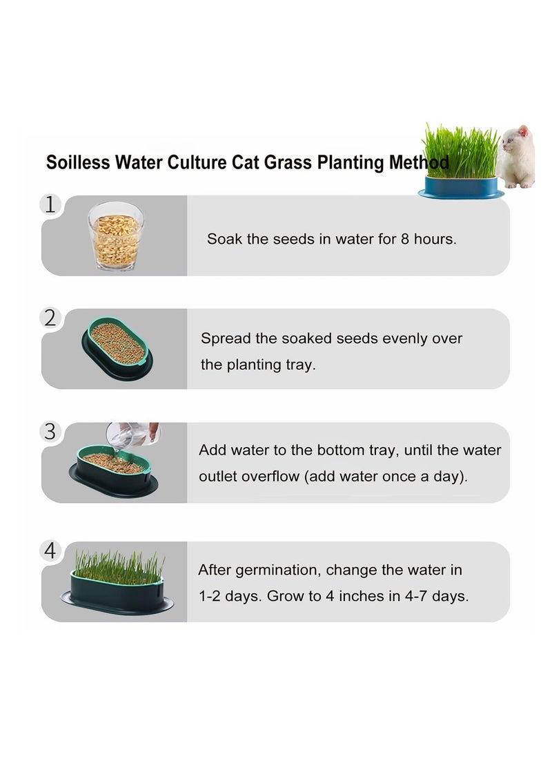 SYOSI - Cat Grass Planter, Catnip Wheatgrass Seed Sprout Tray, Hydroponic Cat Grass, Cat Grass Growing Kit, Self Watering Pots Window Box for Pets, Nursery Plant Planting Box for Indoor, Soilless - Image 1
