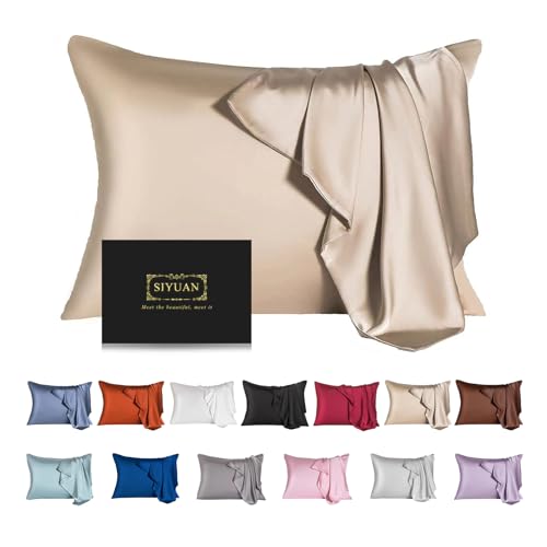 Mulberry Silk Pillowcase for Hair and SkinStandard Size Cooling Silk Pillow Case with Hidden ZipperAllergen Proof Dual Sides Soft Breathable Smooth Silk Pillow Cover for WomenQueenChampagne