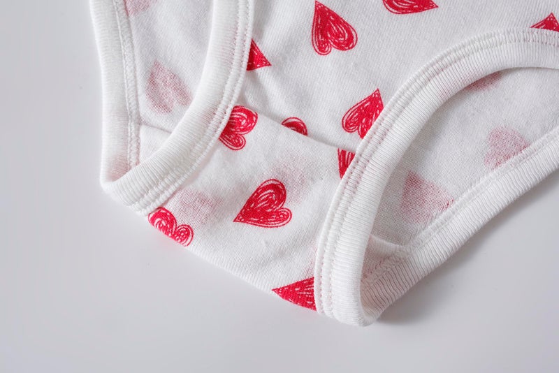 Barara King Baby Soft Cotton Panties Girls Undies Kids Toddler Underwear (Pack of 6) Size 2T - Image 4