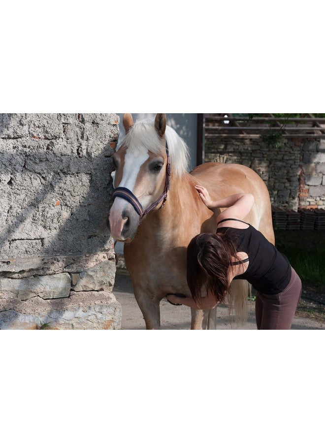 إنتريبيد إنترناشونال فرشاة الحصان السحرية من إنترابيد إنترناشونال، لمجموعة العناية بالخيول مع شعيرات بلاستيكية متينة، فرش للعناية بالخيول، تزيل الأوساخ والعرق والأوساخ، لون أسود - Image 4