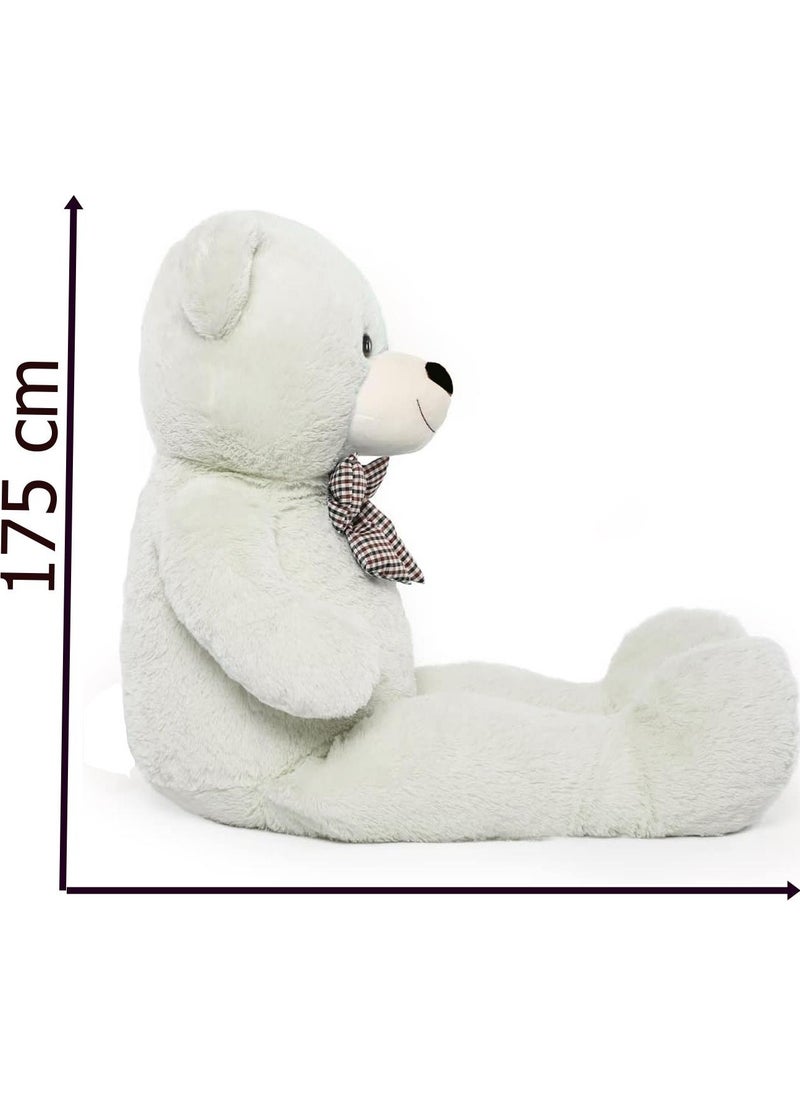 SOLE - 175 cm Giant Plush Bear with Bow Tie - 100% Local - Image 1