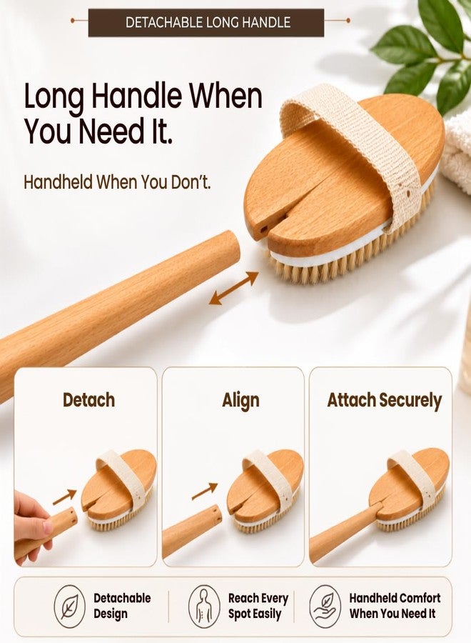 Avoura Premium Dry Brushing Body Brush | 360° Full Body Exfoliation |16-Inch Long Reach Handle | Detachable Long Handle Bath Brush | Women & Men Ayurvedic Rituals | Lymphatic Drainage & Cellulite Care - Image 4