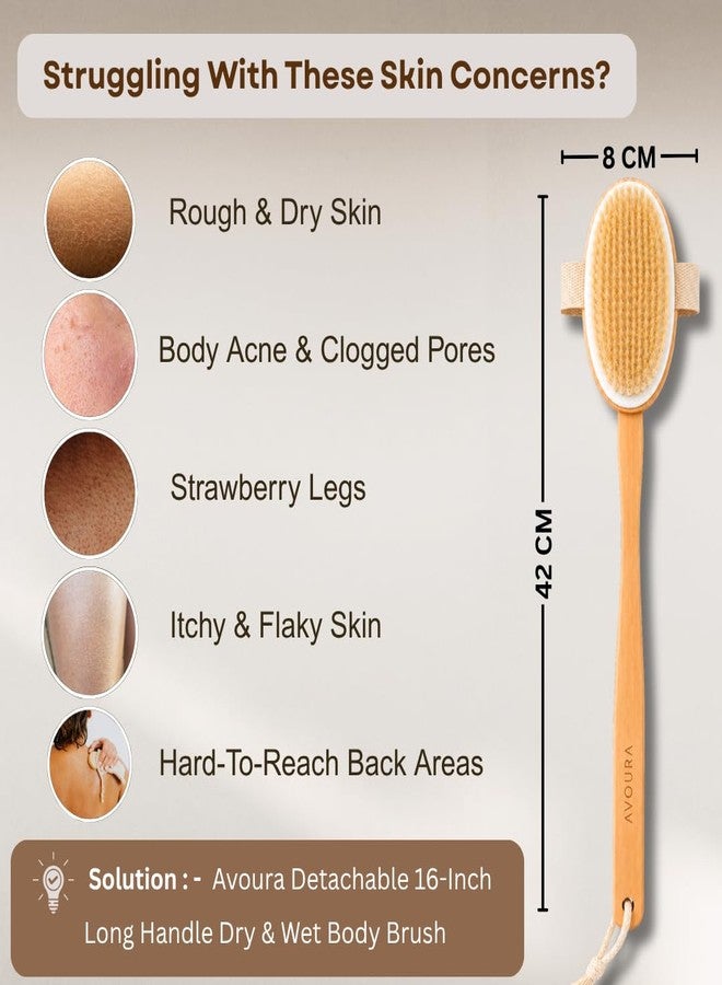 Avoura Premium Dry Brushing Body Brush | 360° Full Body Exfoliation |16-Inch Long Reach Handle | Detachable Long Handle Bath Brush | Women & Men Ayurvedic Rituals | Lymphatic Drainage & Cellulite Care - Image 3