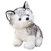 CHELEI2019 79 Husky Stuffed Animal Stuffed Husky Dog Plush Pillow Toy Gifts for Kids - Image 2