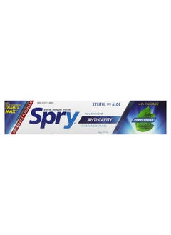 Xlear Xlear, Spry Toothpaste, Anti-Cavity with Fluoride, Peppermint, 5 oz (141 g)  - Image 2